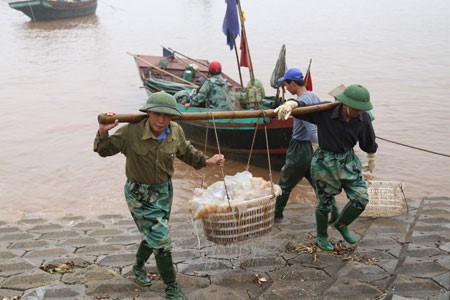Giao Hai fish market, another attraction of Nam Dinh province - ảnh 3